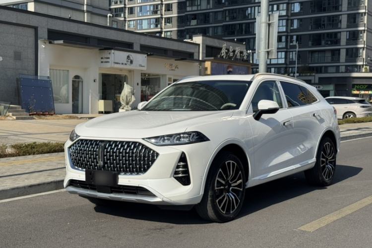 Used Wey Mocha 2021 2.0T Four-Wheel Drive Premium Edition