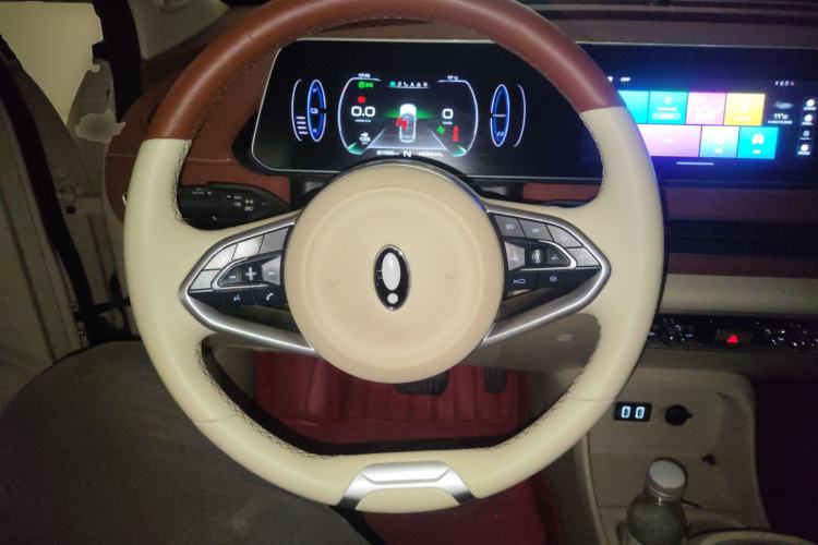 Used ORA Good Cat 2022 400km Standard Range Luxury Version Lithium Iron Phosphate
