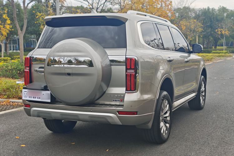 Used Tank 500 New Energy 2024 Hi4-T
