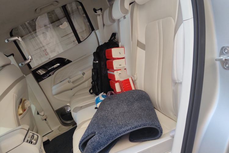 Used Cyberspace Tank 300 2021 2.0T Cyber Tank Left Rear Seat