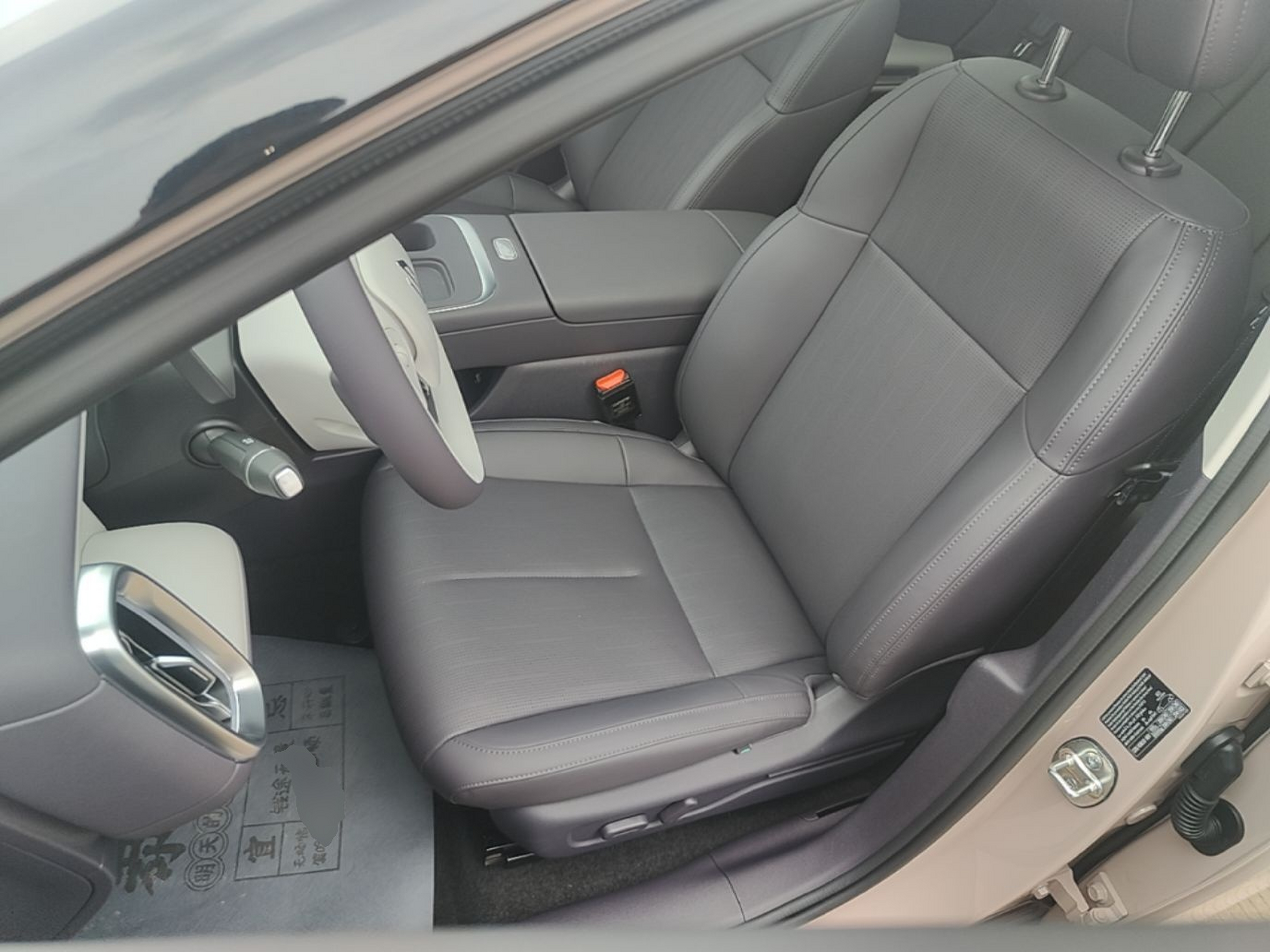 Interior delantero