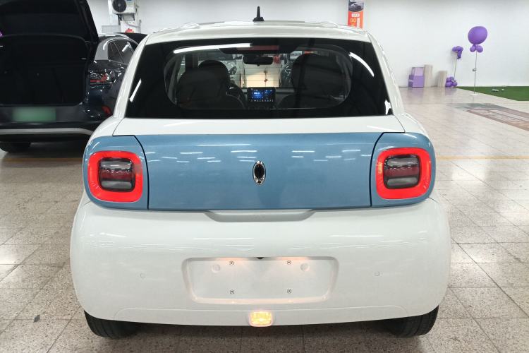 Used ORA Black Cat 2019 351 km Goddess Edition Rear