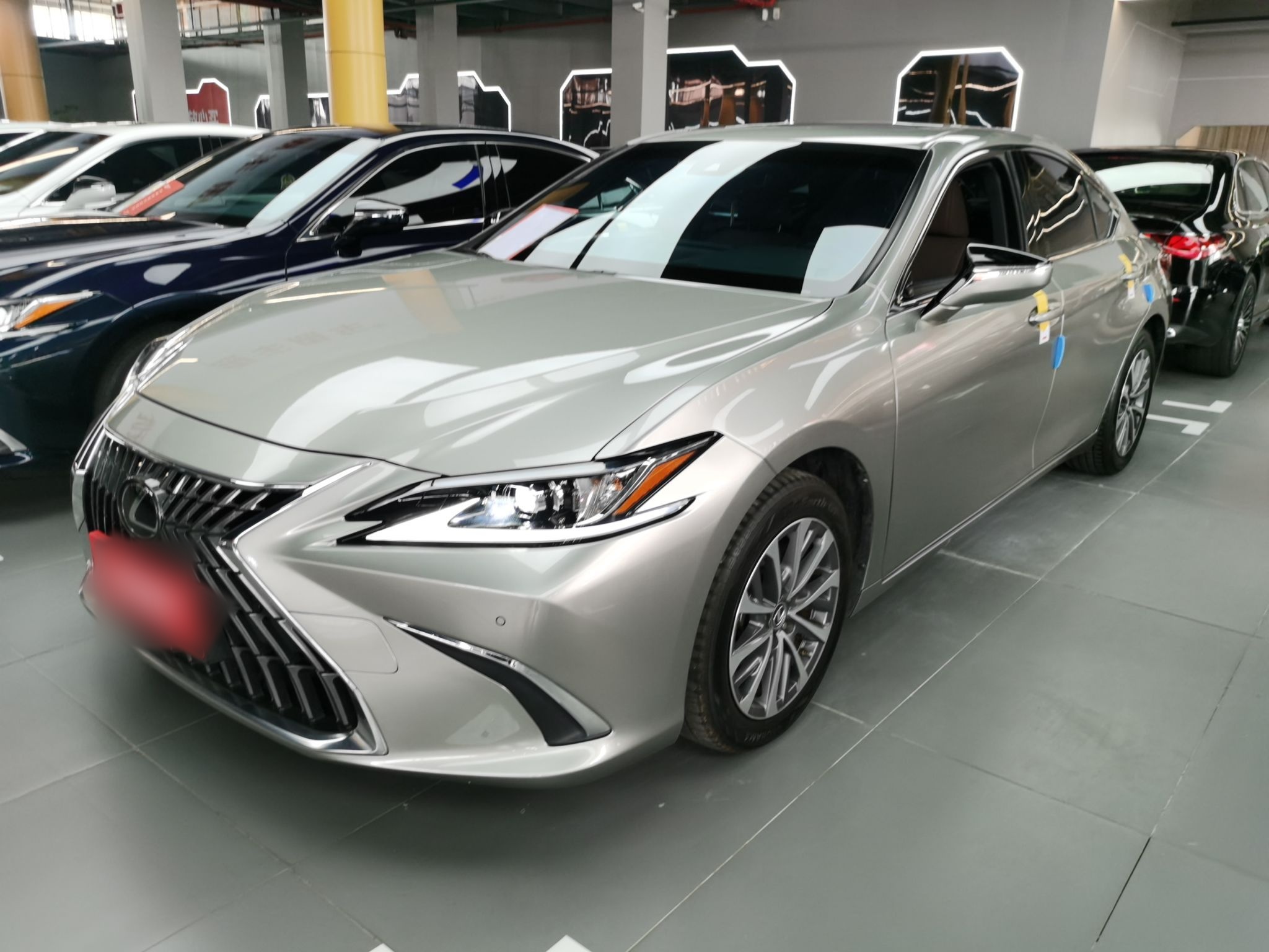 Parte inferior delantera