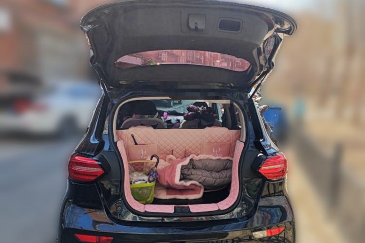 Used Leapmotor T03 2020 400 Luxury Edition