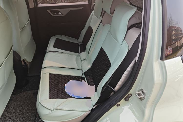 Used SOL E10X 2022 Flower Fairy Style Baby's Breath
