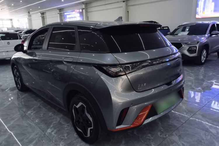 Used BYD Dolphin 2021 405 km Free Version Rear Left 45 Deg