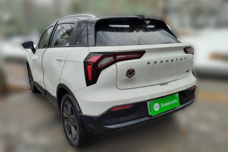 Used Geometry E Firefly 2022 401KM Lightning Tiger 4-Seater