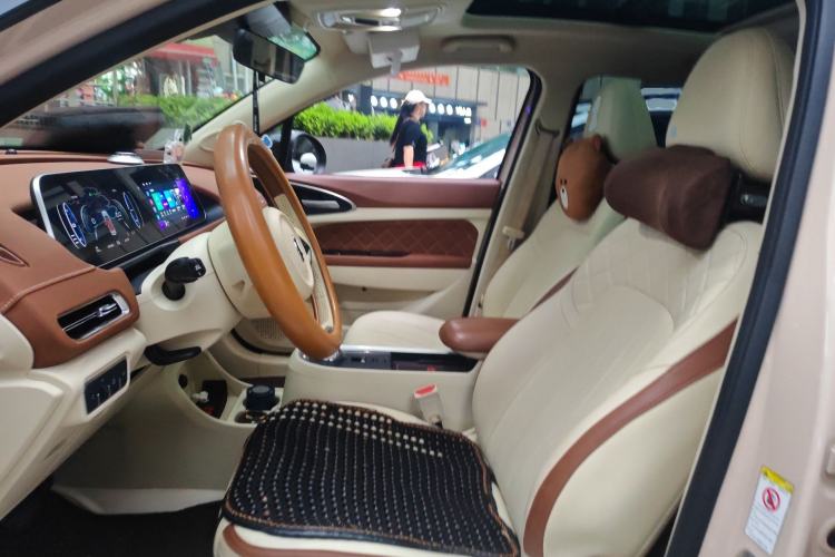 Used ORA Good Cat 2021 400km Standard Range Athena Edition Lithium-Ion Battery
