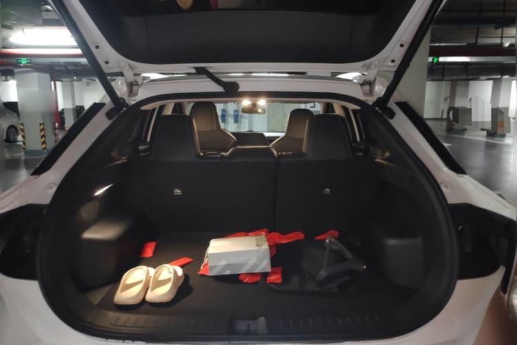 Used Venucia V 2022 260T Black Horse Edition · King
