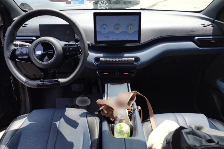 Used BYD Seagull 2023 Active Version Center Console