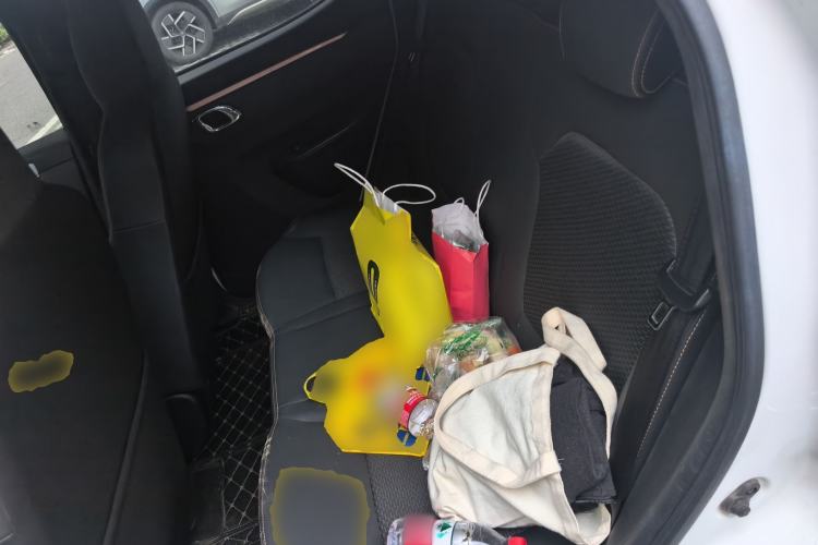 Used Dongfeng NAMMI EX1 2023 PRO Light Wind Edition Lightning Model
