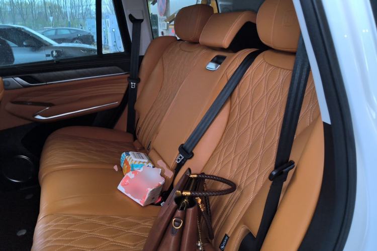 Used Tank 500 New Energy 2025 Hi4-Z Left Rear Seat