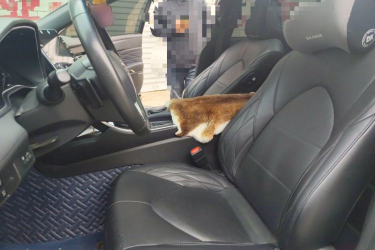 Used Toyota Avalon 2019 2.5L Touring Premium Version China VI Standard Left Front Seat