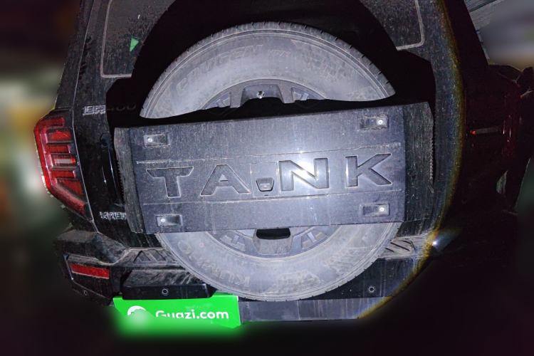 Used Tank 400 2025 2.0T Gasoline Version
