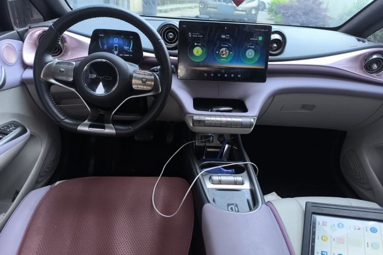 Used BYD Dolphin 2021 405 km Fashion Edition Center Console