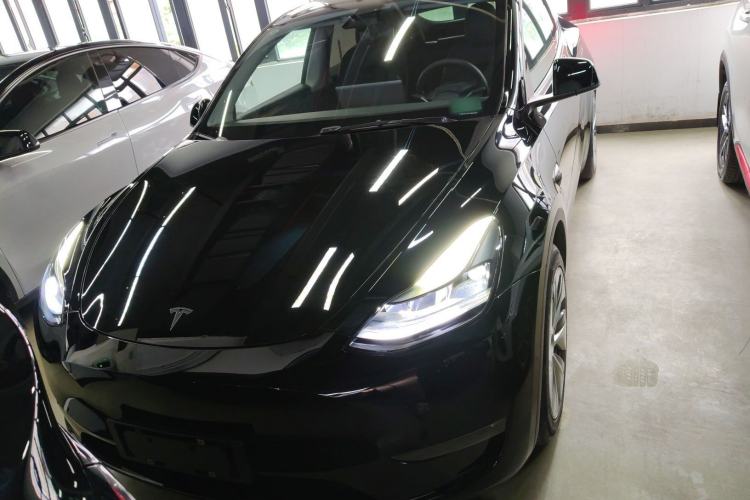 Used Tesla Model Y 2021 Standard Range Rear-Wheel Drive Version
