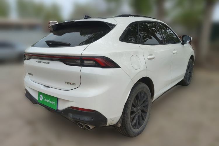 Used FORTHING T5 EVO 2021 1.5TD DCT Diamond Edition
