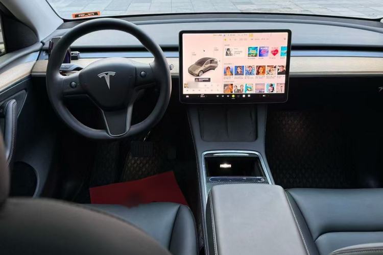 Used Tesla Model Y 2021 Standard Range Rear-Wheel Drive Version
