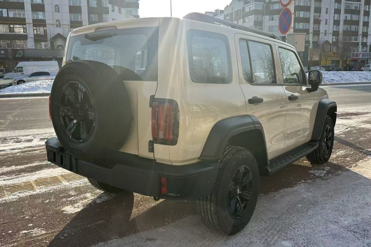 Used Tank 300 2025 2.4T Diesel Version
