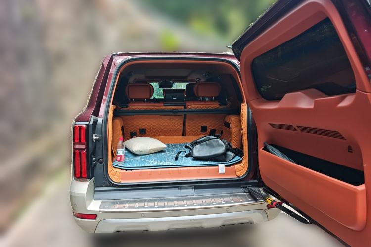 Used Tank 500 2022 3.0T High-End Custom Edition 5 Seats Trunk