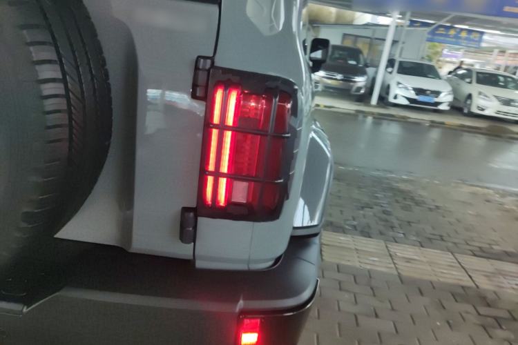 Used Tank 300 2024 2.0T Crosser