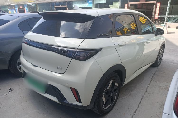 Used BYD Dolphin 2025 420km Active Version Rear Right 45 Deg