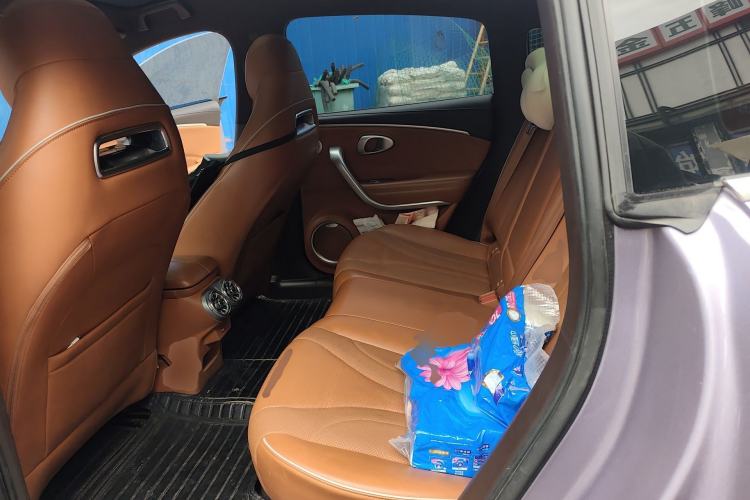 Used ORA Lightning Cat 2022 555 km Luxury Edition Left Rear Seat