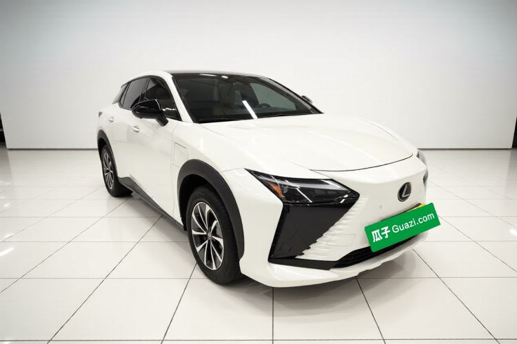 Used Lexus RZ 2023 450e All-Wheel Drive Luxury Edition Exterior 1
