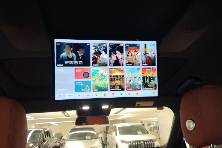 Used Li Auto L9 2022 Max model Headliner