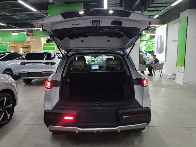 Used BYD Yuan UP 2024 301KM Leading Edition — 18