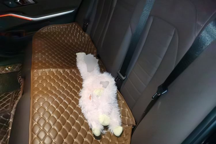 Used BMW 3 Series 2020 325Li M Sport Night Edition Package Left Rear Seat