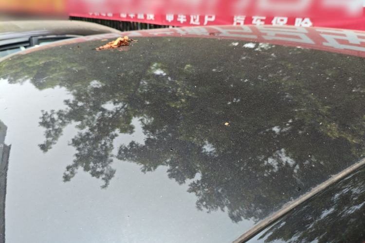 Used Leapmotor T03 2022 Hometown Jade Edition Roof