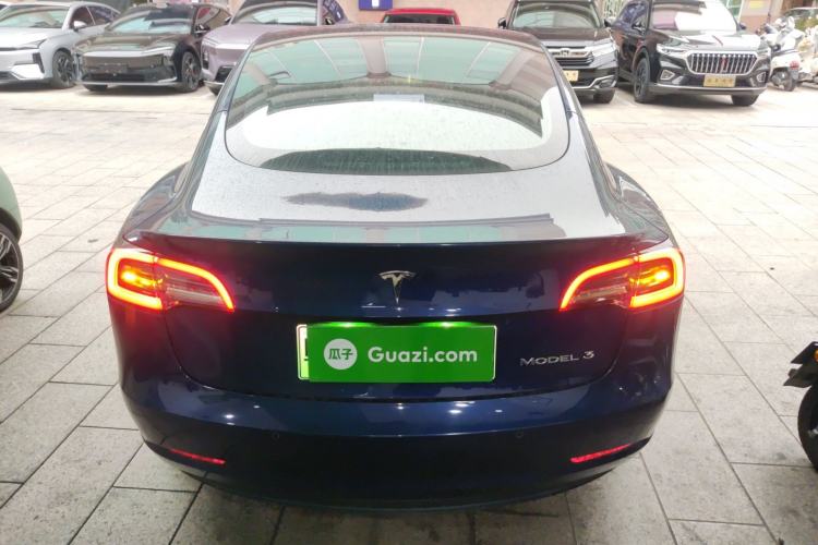 Used Tesla Model 3 2020 Standard Range Rear-Wheel Drive Upgraded Version Rear