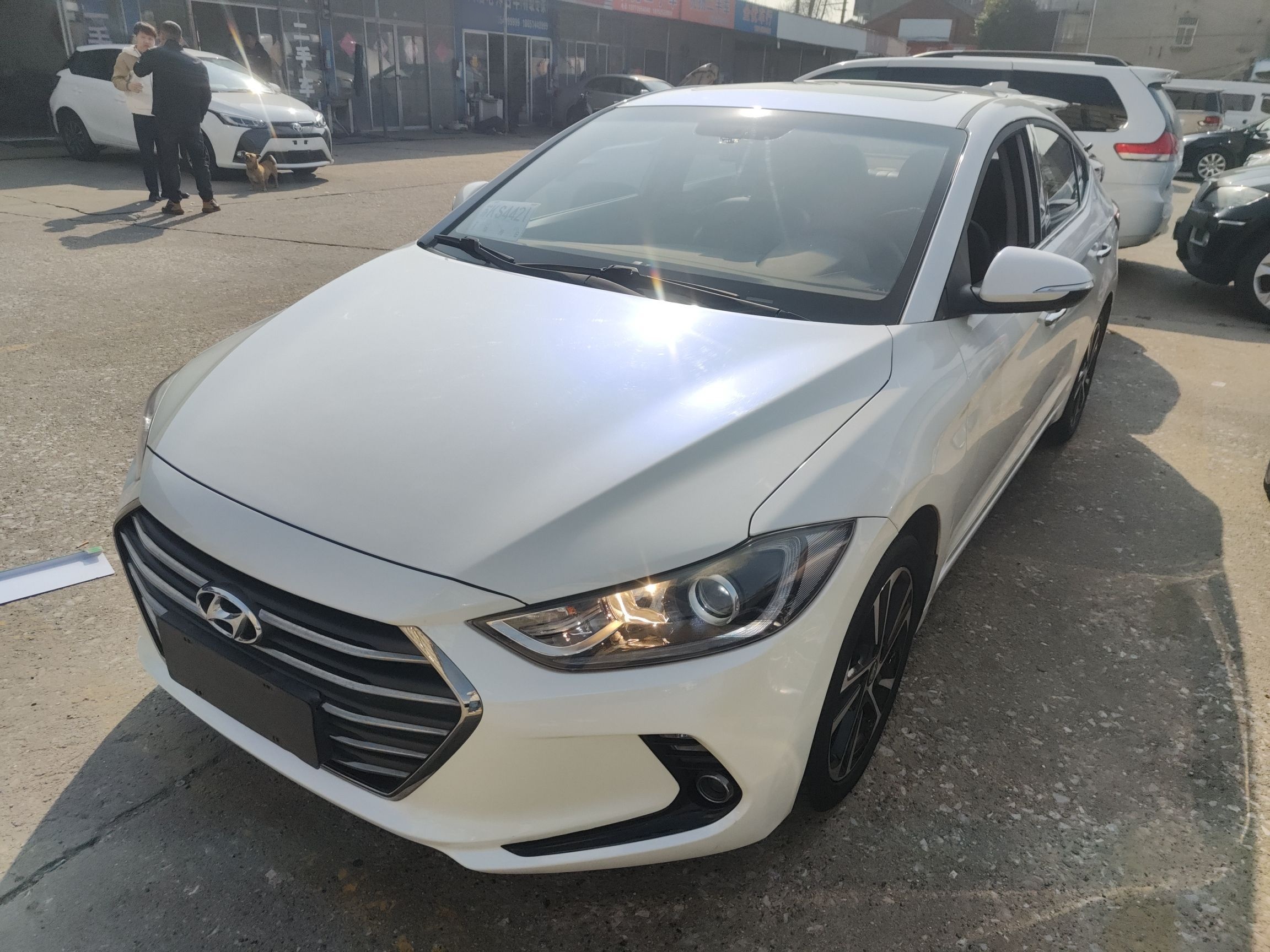 Parte inferior delantera