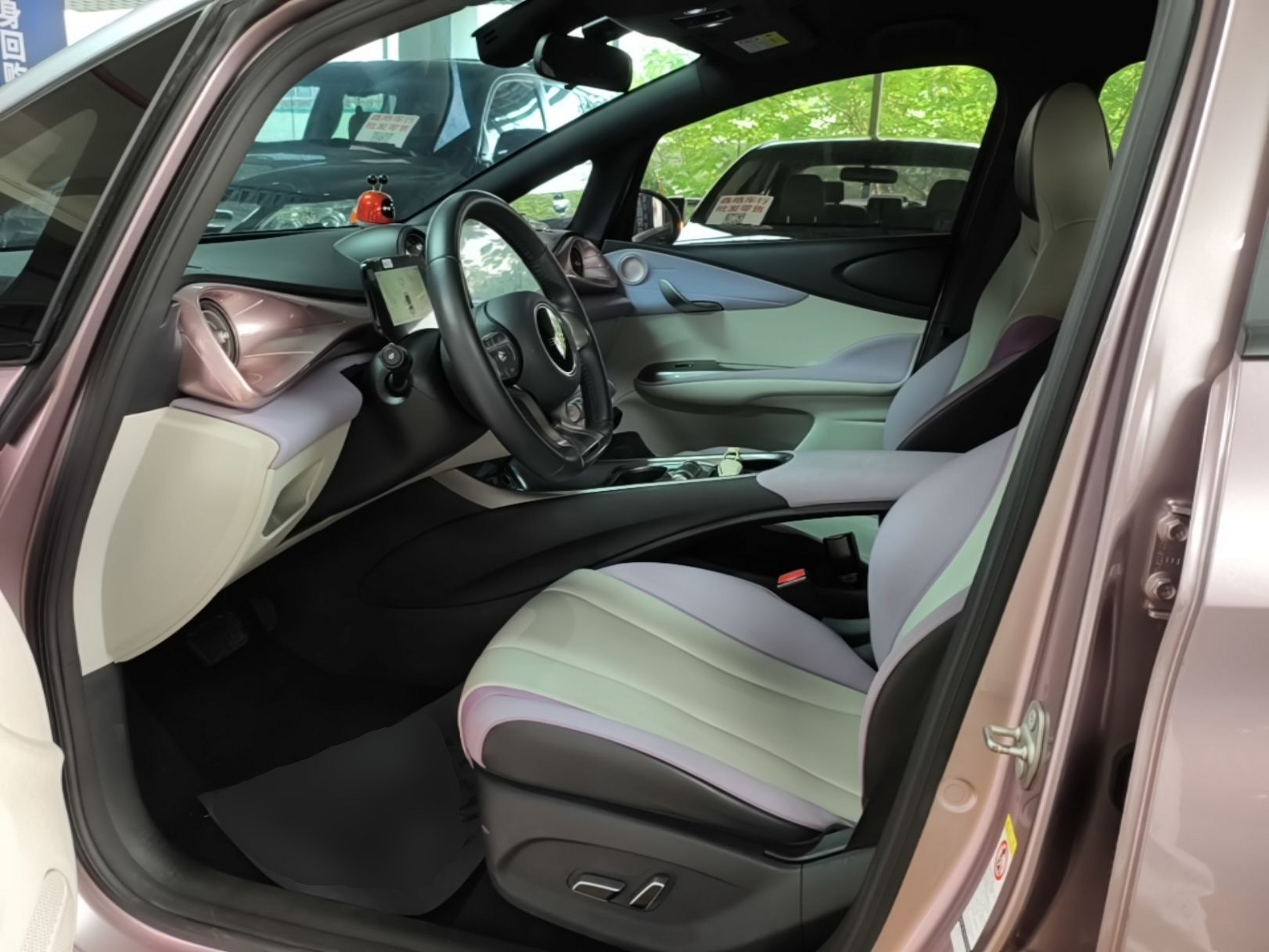 Interior delantero