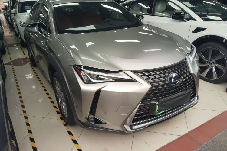 Used Lexus UX New Energy 2020 300e Pure·Joy Edition Exterior 1