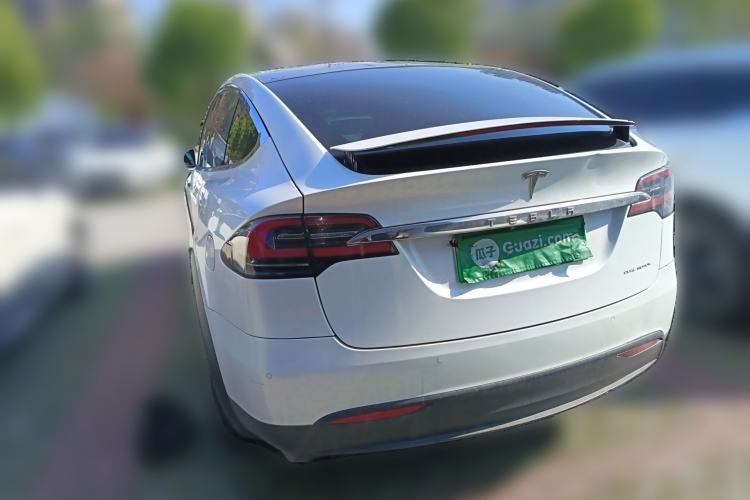 Used Tesla Model X 2017 X 100D Long Range Edition Rear Left 45 Deg