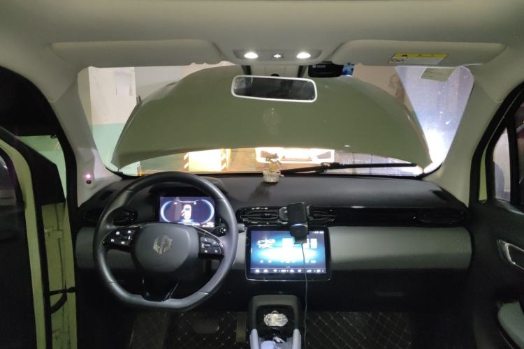 Used Leapmotor T03 2021 400 Luxury Pro Edition Headliner