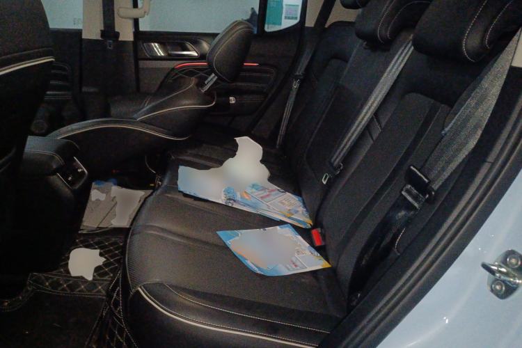 Used Tank 300 New Energy 2024 Hi4-T