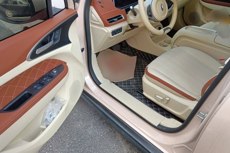 Used ORA Good Cat 2023 401 km Standard Range Luxury Version Lithium Iron Phosphate Driver Seat