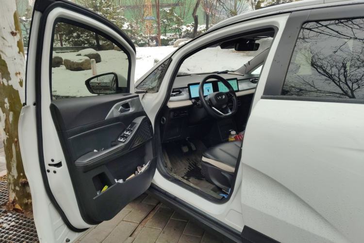 Used Geometry E Firefly 2022 401KM Lightning Tiger 4-Seater