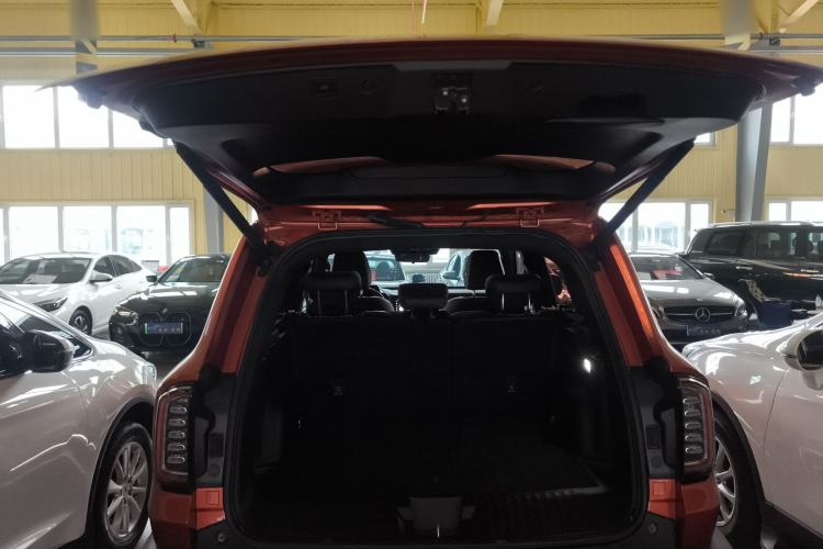Used Haval DARGO 2021 2.0T DCT 4x4 Chinese Rural Dog Edition
