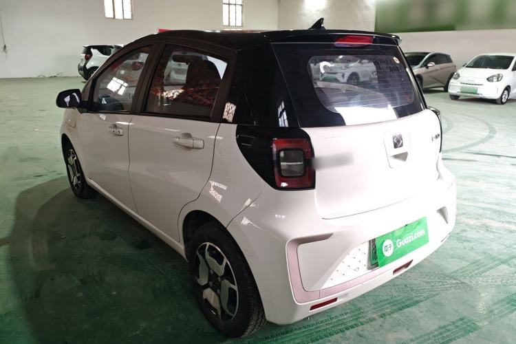 Used SOL E10X 2022 Flower Fairy Style Baby's Breath