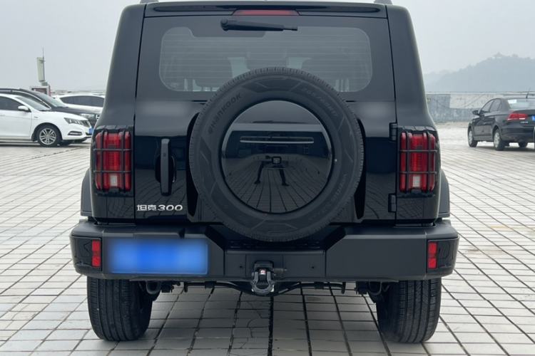 Used Tank 300 2024 2.0T Conqueror
