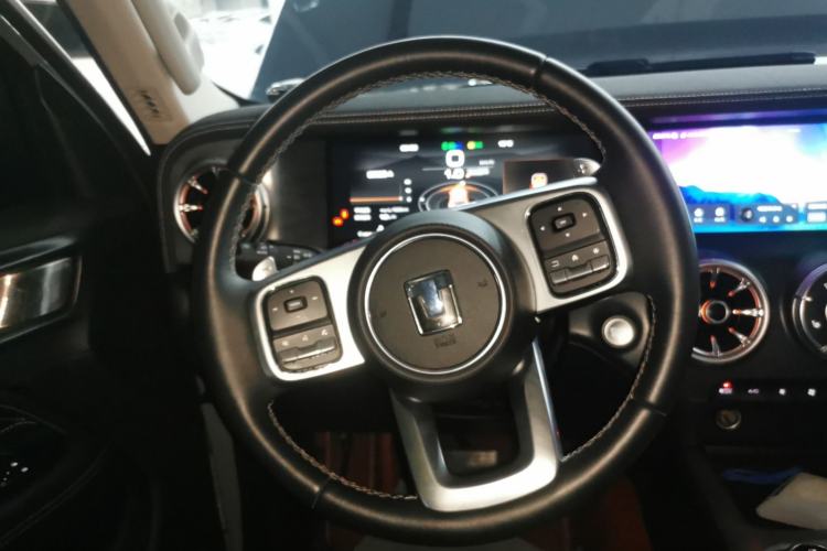 Used Tank 300 2024 2.0T Conqueror
