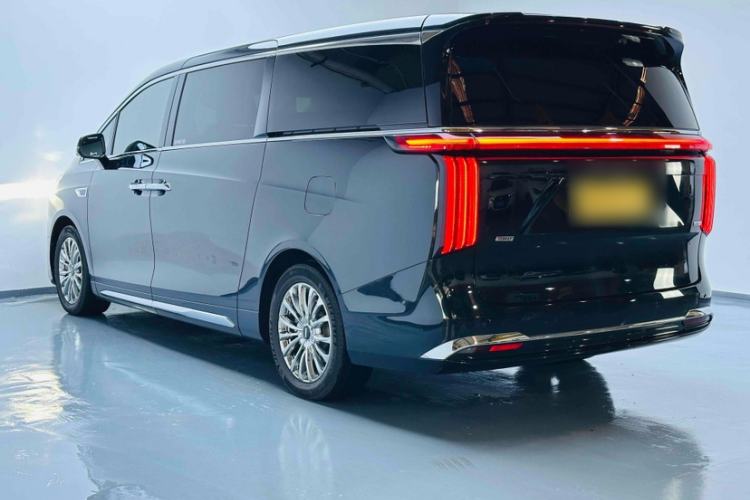 Used Wey Gaoshan 2023 Four-Wheel-Drive Executive Extended Version Exterior 5