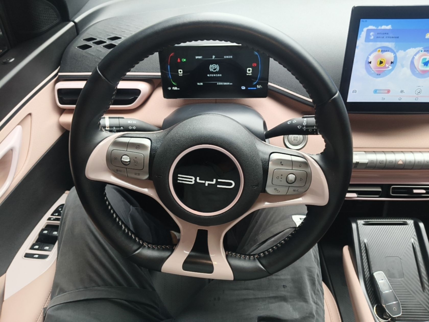 BYD Seagull 2023 Free Edition — снимка 13