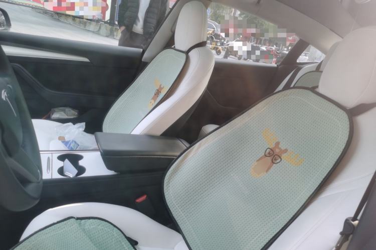 Used Tesla Model 3 2022 Rear-Wheel-Drive Version