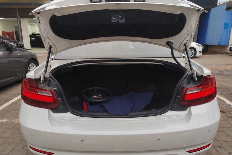 Used BMW 2 Series 2014 220i Leading Model
