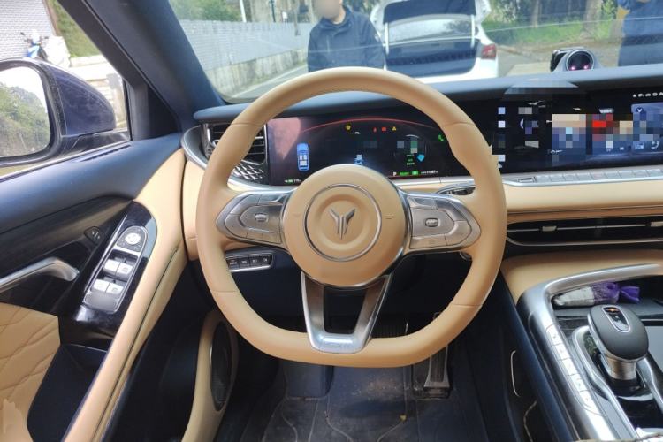 Used VOYAH FREE 2021 Four-Wheel Drive Standard Range-Extended Exclusive Luxury Package Steering Wheel